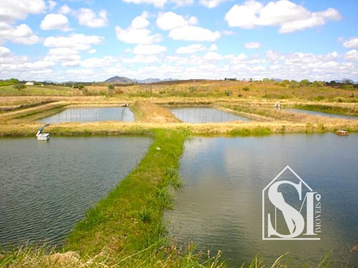 Sitio Maranguape viveiros