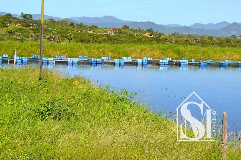 Sitio Maranguape viveiro