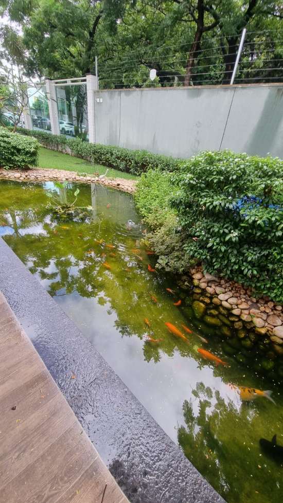 soho aquario